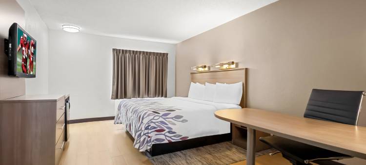 默特尔比奇红顶酒店-公共市场(Red Roof Inn Myrtle Beach Hotel - Market Commons)图片