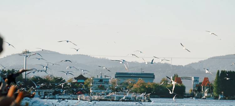 昆明华邑酒店(滇池)图片