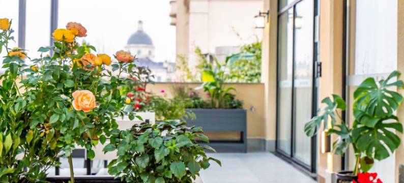 重庆嘉安民宿图片