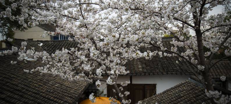 朱家角井亭民宿图片