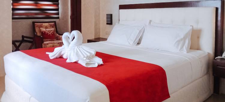 红多兹@乔伊斯宫古迹酒店(RedDoorz @ Joyce Palace Antique)图片