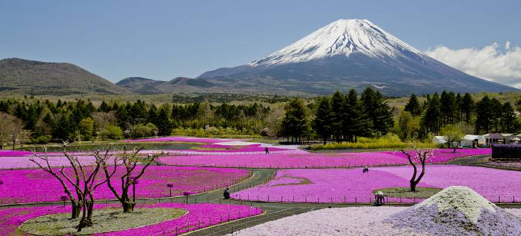 Shizuku旅馆-带富士山景观和私人桑拿(12岁及以下儿童不可入住)(Mt Fuji View and Private Sauna Ryokan Shizuku(No accommodation for 12 years old and below))图片