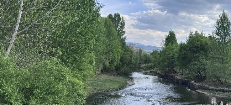 沙溪古镇花生民宿图片