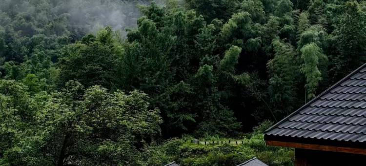 灰度艺舍·畔溪民宿(梅岭神龙潭店)图片