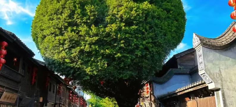 格林豪泰智选酒店(福州三坊七巷南门兜地铁站店)图片