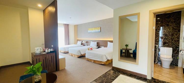孟清广宁酒店(Muong Thanh Grand Quang Tri Hotel)图片