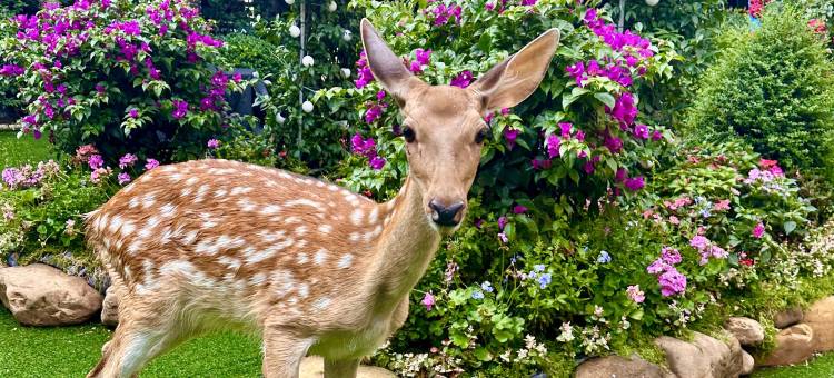 贵阳铂尔曼大酒店(甲秀楼鸿通城购物中心店)图片