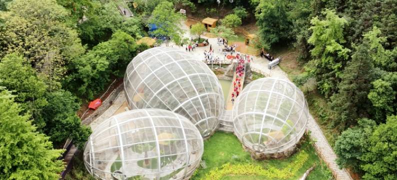 鹿鸣谷度假区修河温泉度假酒店图片