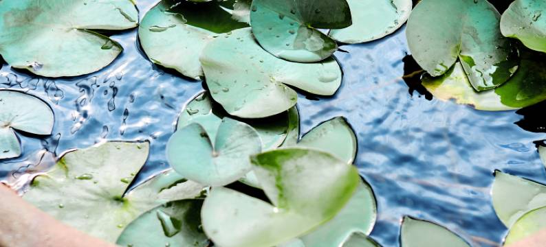 泗洪炎姜轻奢酒店(富园景都店)图片