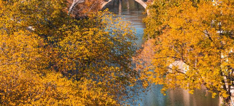 濮院时尚古镇秀水客栈图片