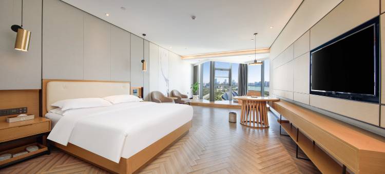 瑯盛国际酒店(合肥天鹅湖万达广场店)图片