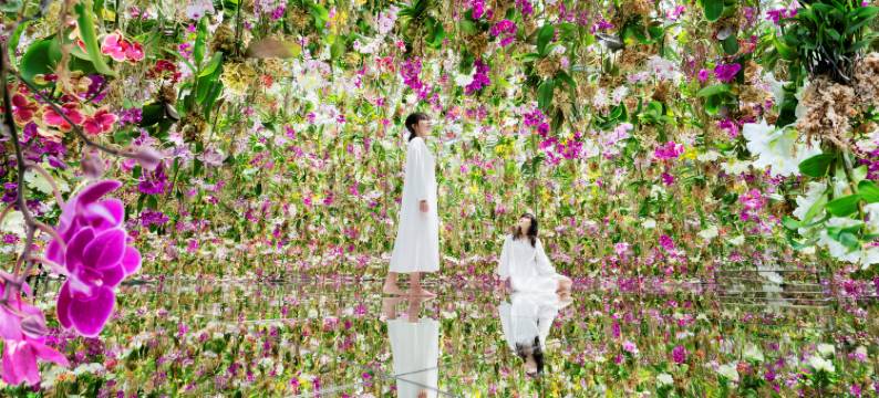 澳门巴黎人图片