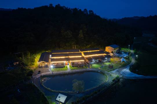 广州从化吕田野竹林农场