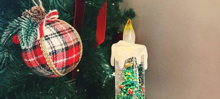 深山见•山野如许•自然美学花园庭院民宿(白哈巴老村店)图片