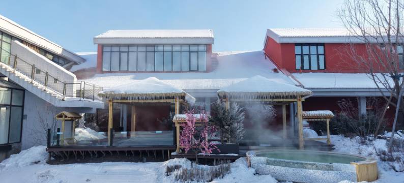 望春山硒悦温泉酒店图片