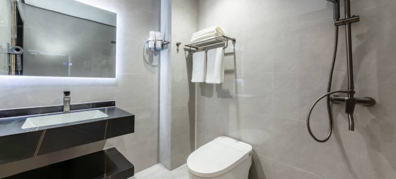 拉萨藏悦酒店图片