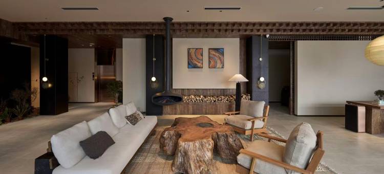 藏野(索松村店)图片