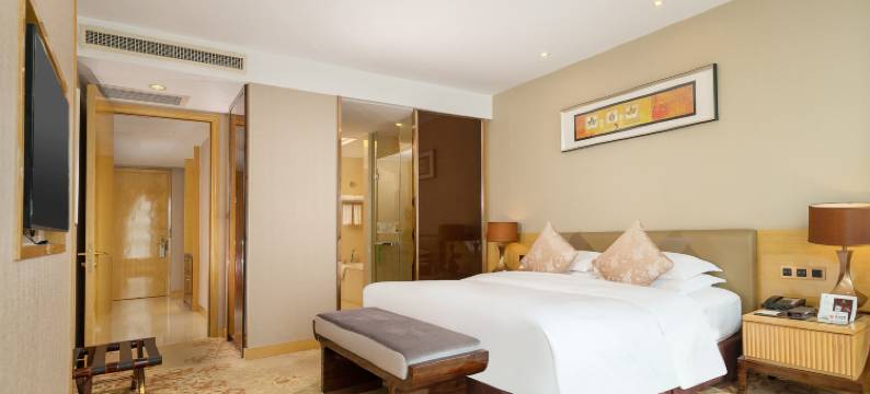 南宁财富国际酒店(南宁东站店)图片