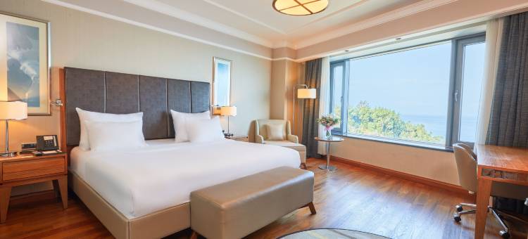 宗古尔达克德德曼酒店(Dedeman Zonguldak)图片