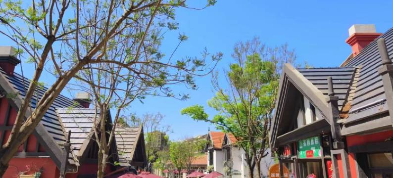 抚仙湖不远半山民宿图片