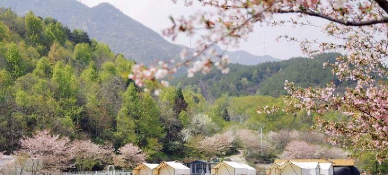 锦鲤土司城度假酒店图片