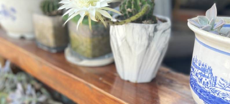 莫干山·栖山南苑度假屋图片