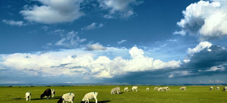 克什克腾旗诺明塔拉民宿图片