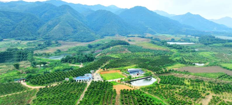 英德九天然度假山庄图片