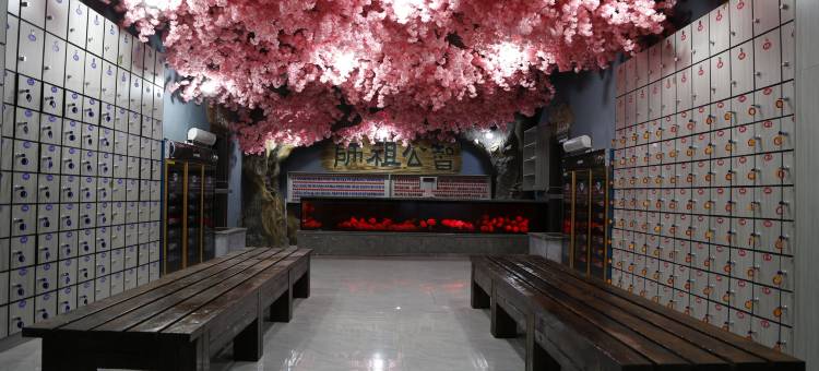 诚沐池宾馆(启工街地铁站店)图片