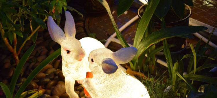 抚仙湖仓惠卓民宿(广龙小镇店)图片