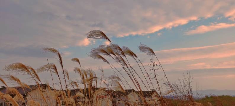 星林晚居·庭院山野星空休闲度假美宿(中南百草原自然博物馆店)图片
