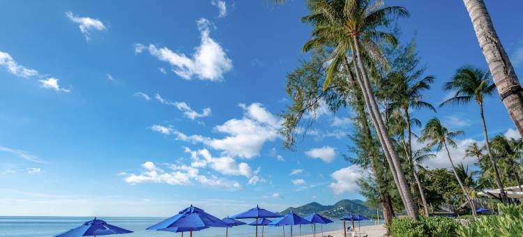 苏梅岛遨舍查汶度假酒店(OZO Chaweng Samui)图片