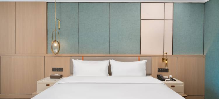 濮阳高铁东站新东路美仑酒店图片