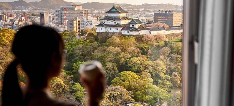 和歌山大和ROYNET酒店(Daiwa Roynet Hotel Wakayama)图片