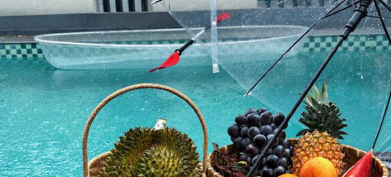 山止Valley｜山野溯溪·星空泳池亲子度假美宿(安吉深溪漂流店)图片