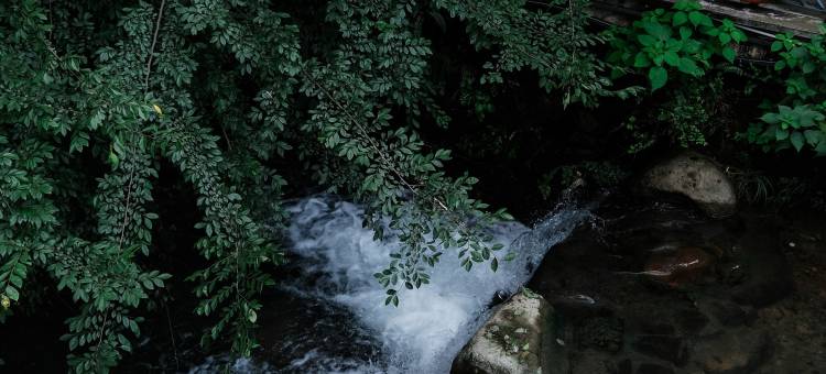 来野·莫干山设计师私汤民宿(庾村广场店)图片