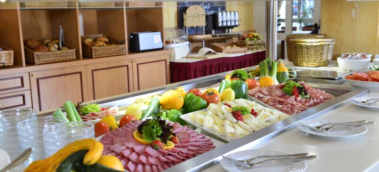 莱昂贝格广场酒店(PLAZA INN Leonberg)图片