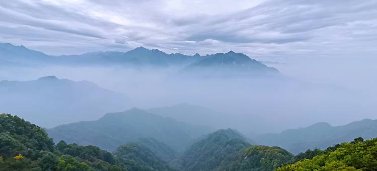 丹山无境图片