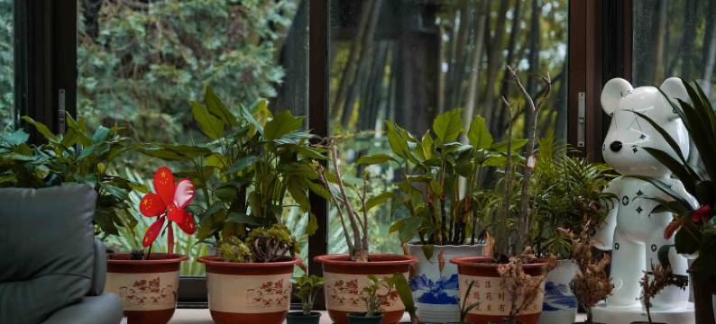 莫干山隐竹莫干民宿图片