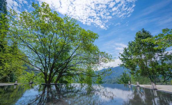 青城山卿宿青城·私汤森林民宿图片