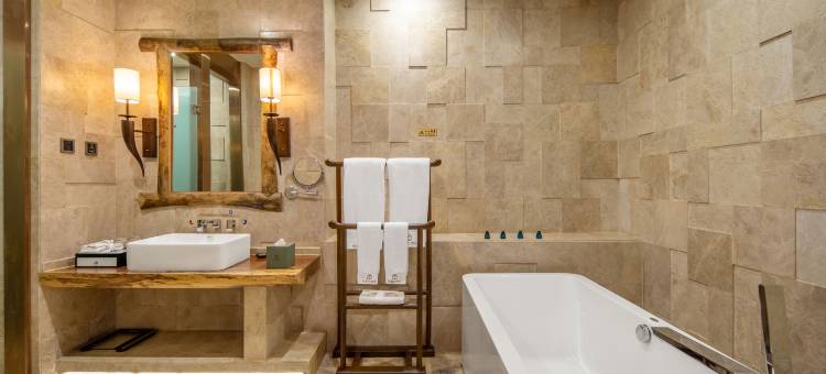 辰鑫大酒店(临沧沧源葫芦小镇店)图片