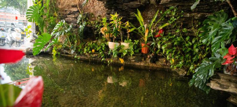 小岛商务酒店(江南中路店)图片