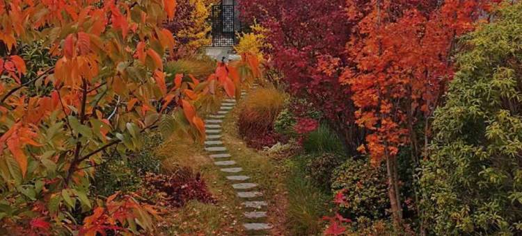 丽江金林豪生大酒店(古城区店)图片