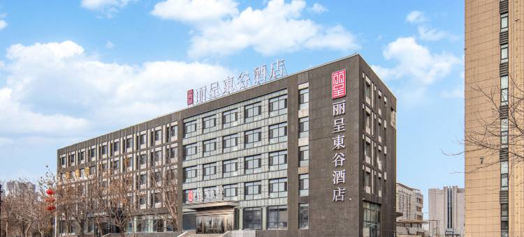 丽呈東谷酒店(哈尔滨融创乐园冰雪大世界店)图片