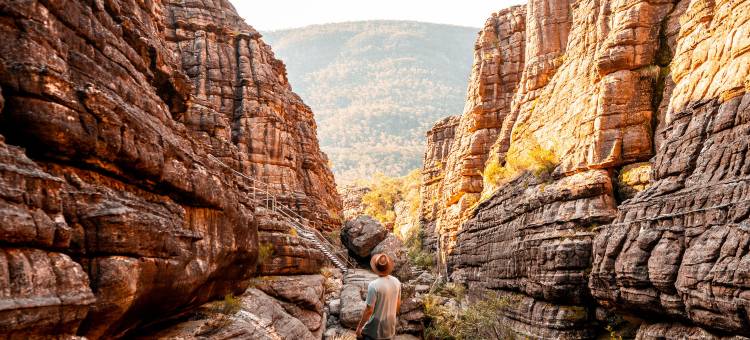 YHA 格兰坪生态国际青年旅舍(YHA Grampians Eco, Halls Gap)图片