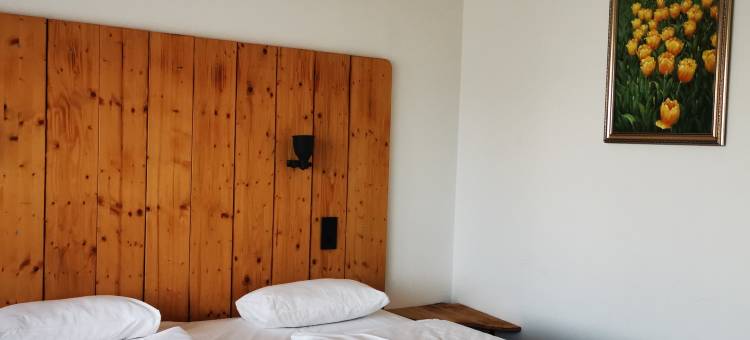 梅里安酒店(Hotel Merian)图片