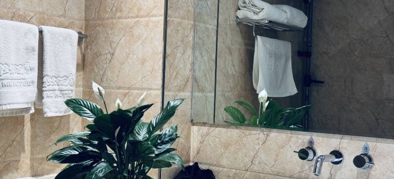 迭部苯日钦牡大酒店图片