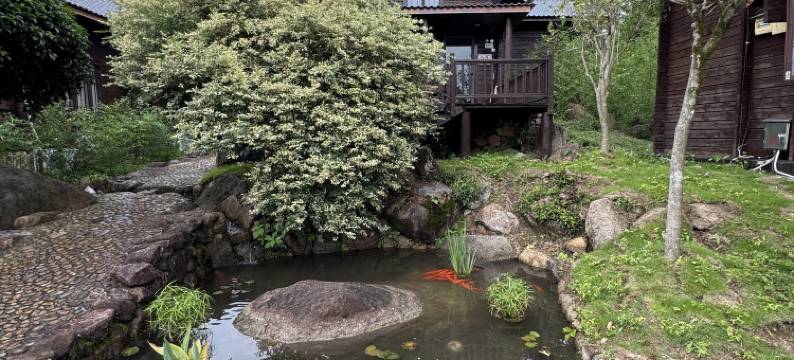 横峰东坡逸居图片