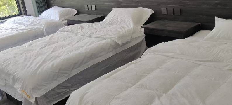 五台星泽商务酒店图片