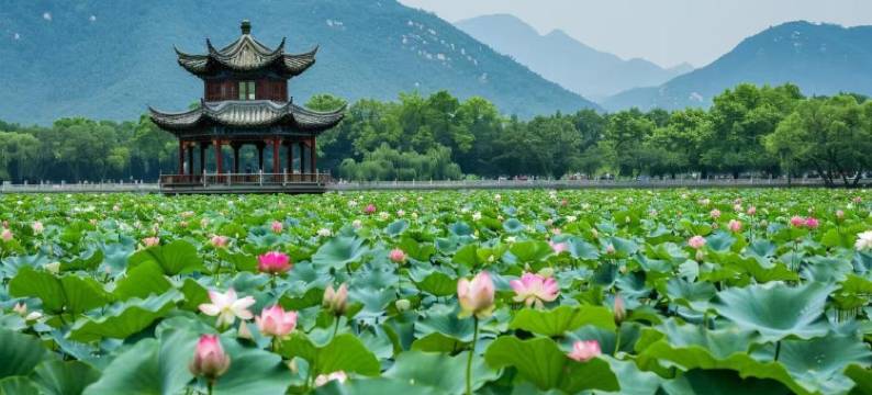 柏美云居城市公寓(杭州国际博览中心店)图片
